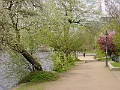 Binnenalster Ufer